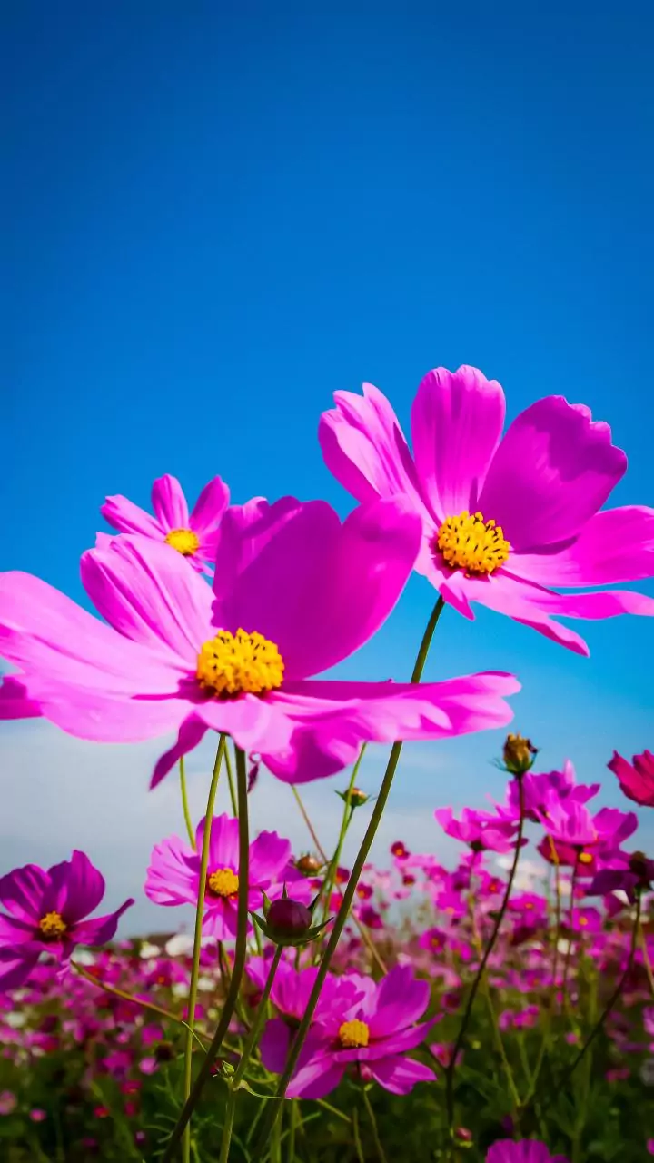 Midweek Weather Check: Get the Latest Forecast!