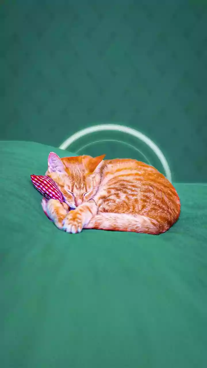 Pre-Bed Cooling Works Better with Fewer Heat-Generating Activities