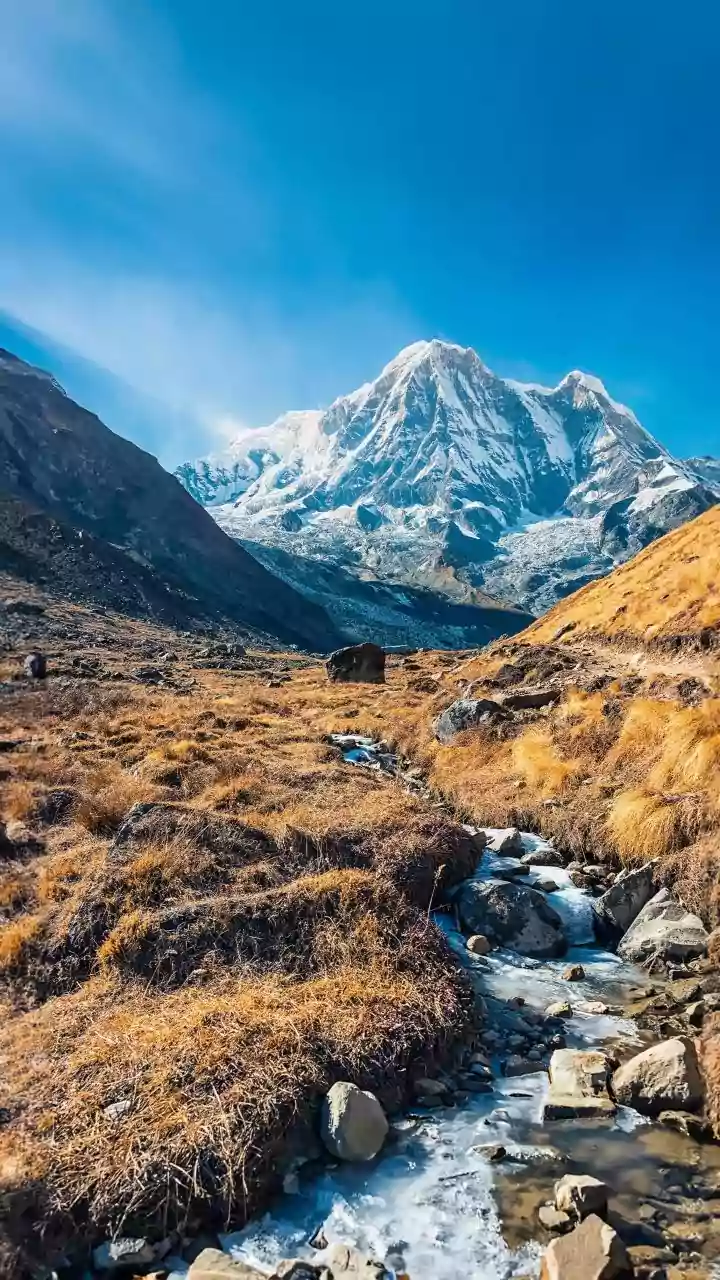 Make winter tourism a mass movement: Dhami appeals to people