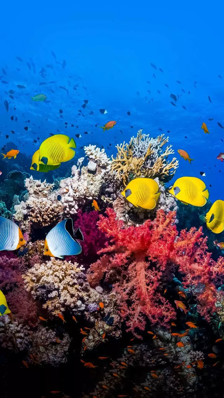 Pusat Data Bawah Laut yang Membuat Takjub