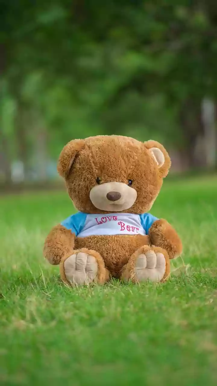 When Is Teddy Day 2026? Date, History, Significance And Cute Teddy Gift Ideas For Valentine Week