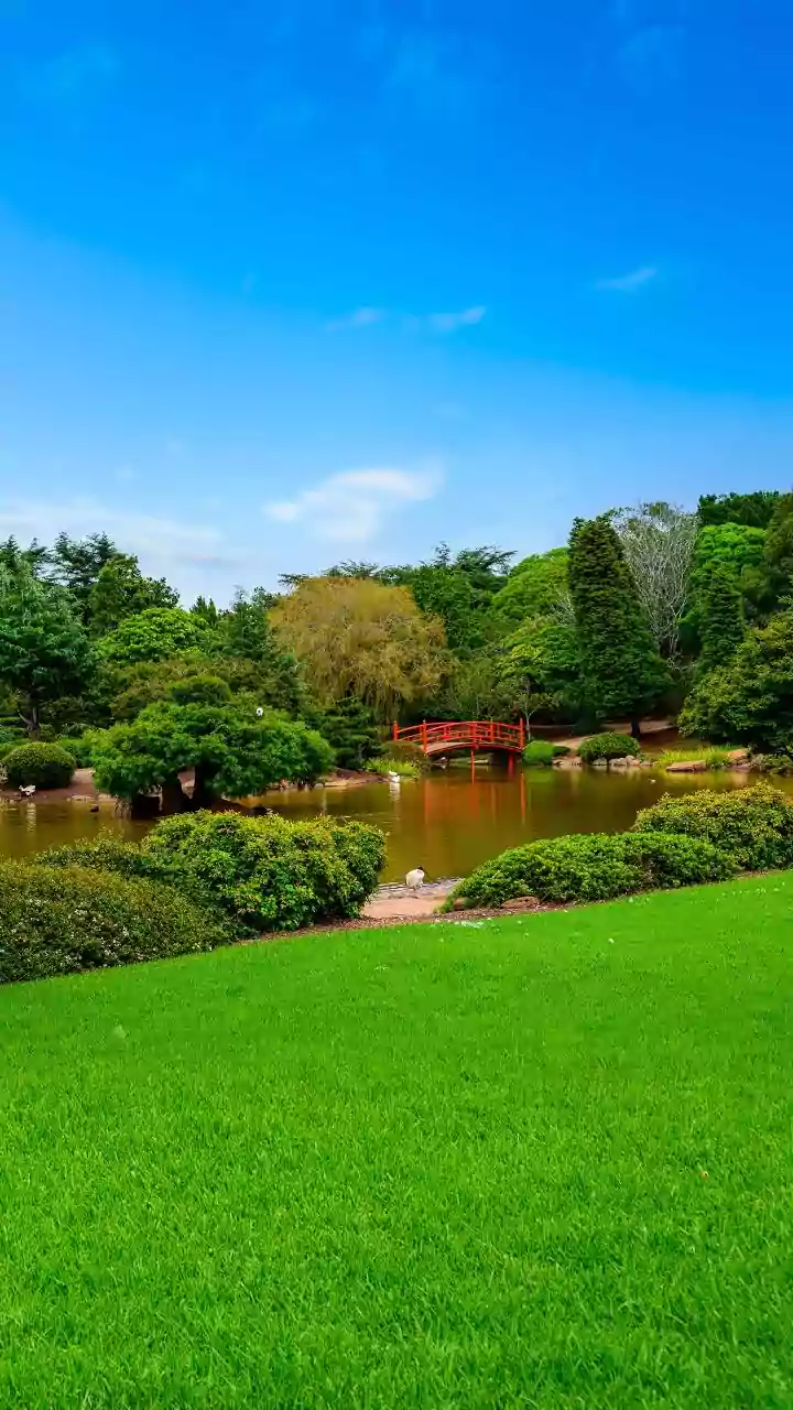 Unlock Your Inner Joy: Natural Ways to Boost Dopamine and Feel Amazing