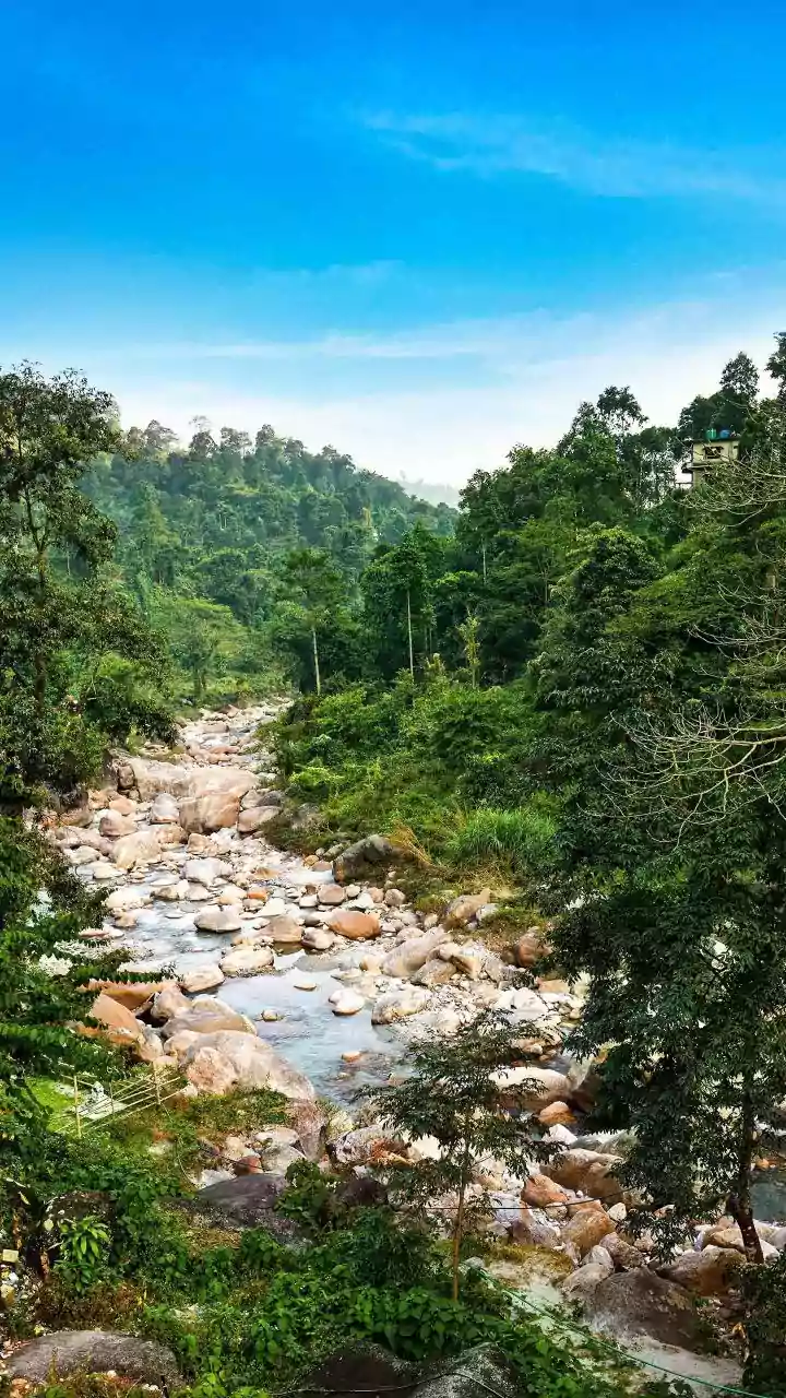 India's Hidden Gems: 10 Remarkable Short Rivers You Should Know