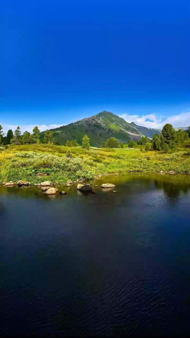 Mountain Air Beats City Heat Every Time