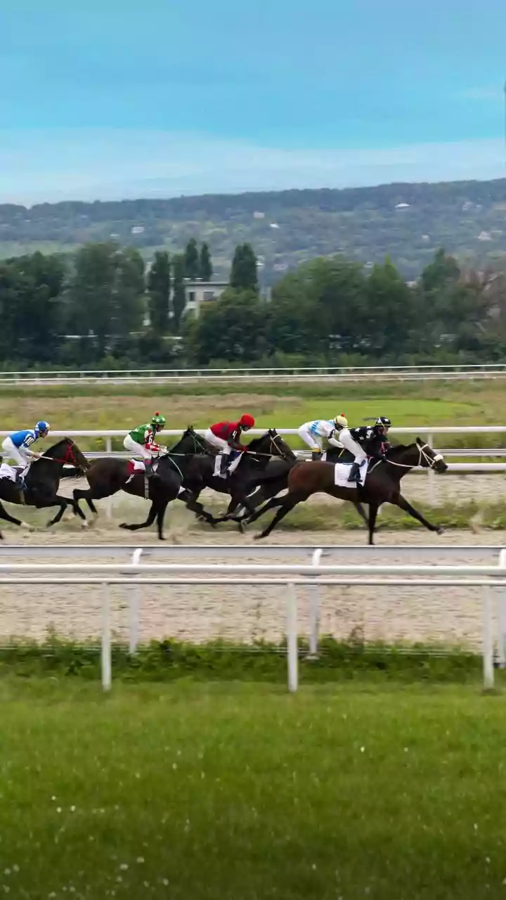 Vastu's 7 Horses: Attracting Success & Growth