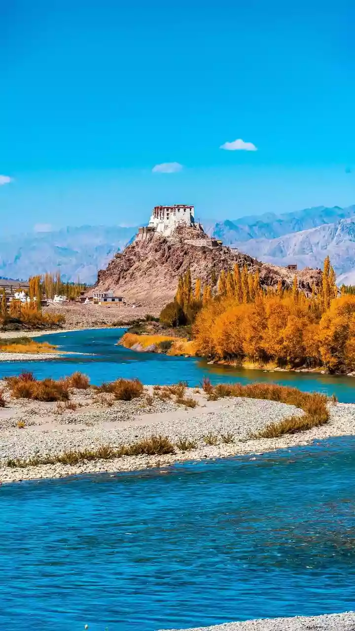 Ladakh's Apricot Blossom Spectacle: India's Own 'Sakura' Spring Delight