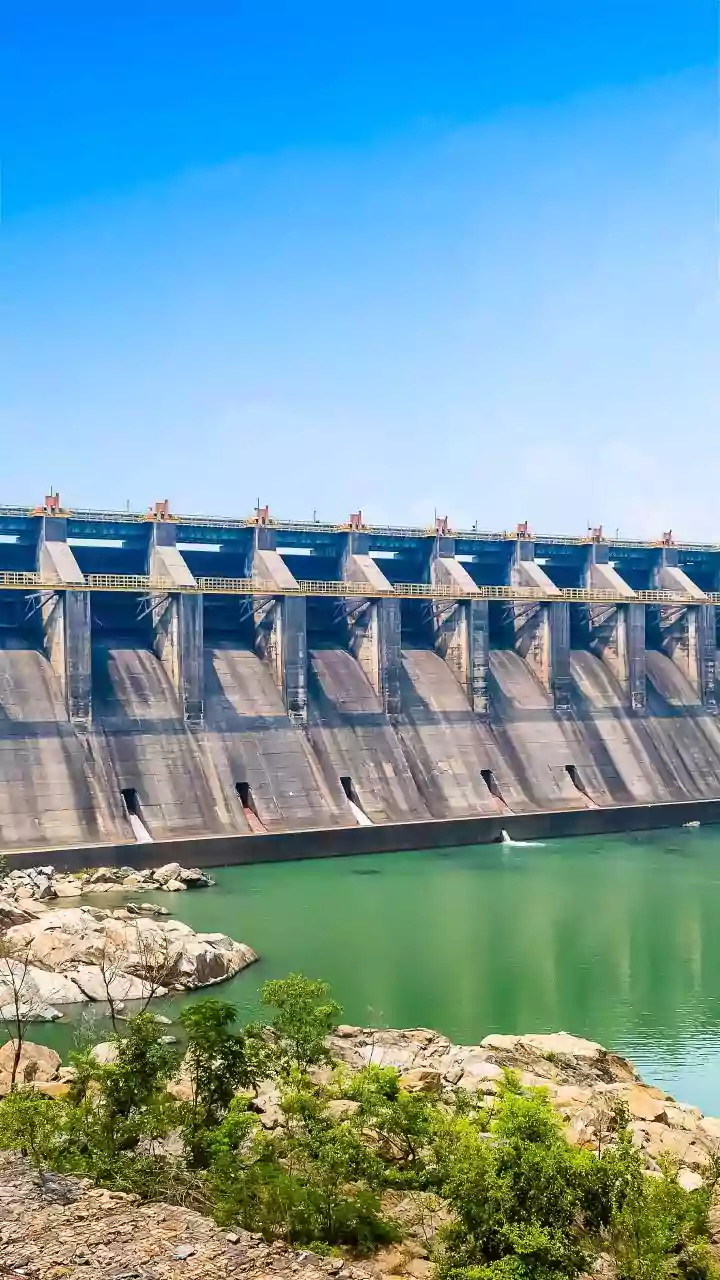 Odisha panel to visit Chhattisgarh on Jan 31 to discuss on Mahanadi water dispute