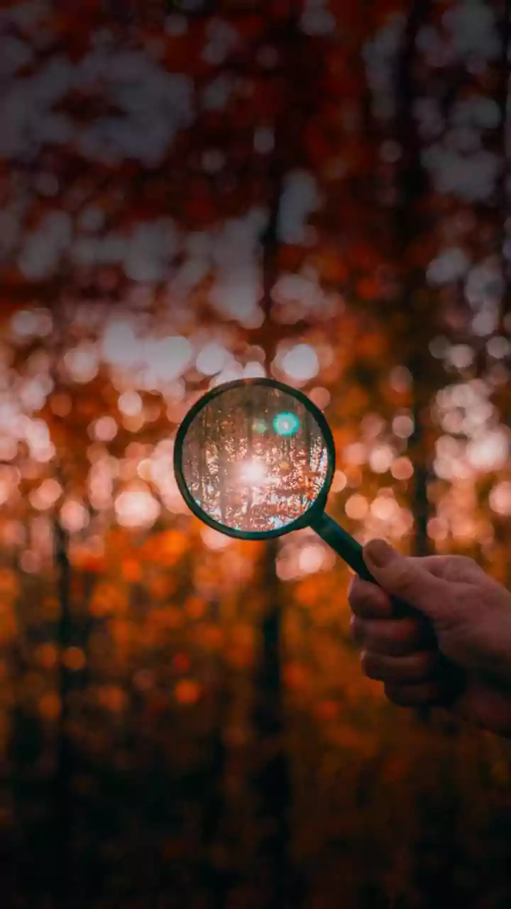 Open Peer Review Can Support Trust through Inspectable Decisions