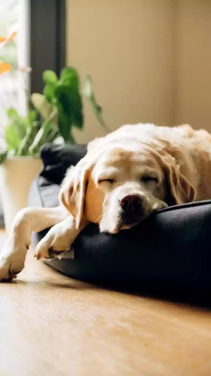 Heat may drain energy—plan your day accordingly.