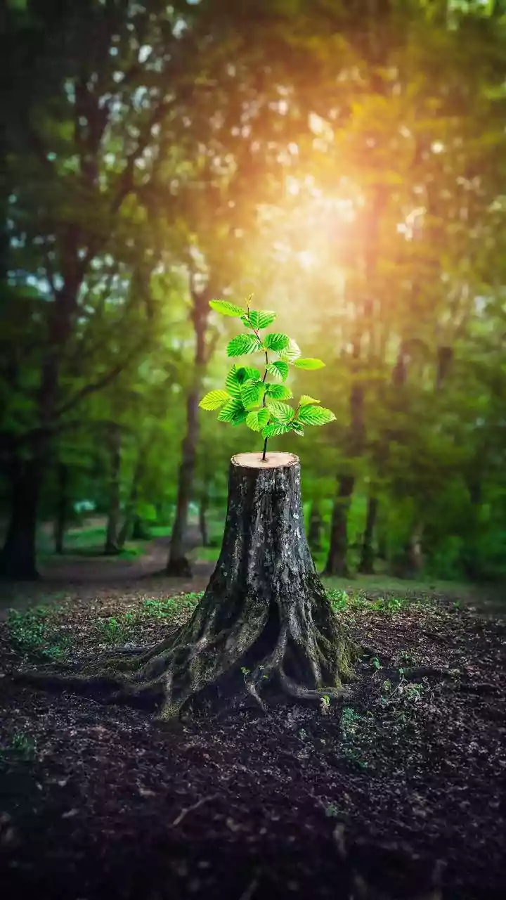 The Enduring Power: Exploring Life's Challenges