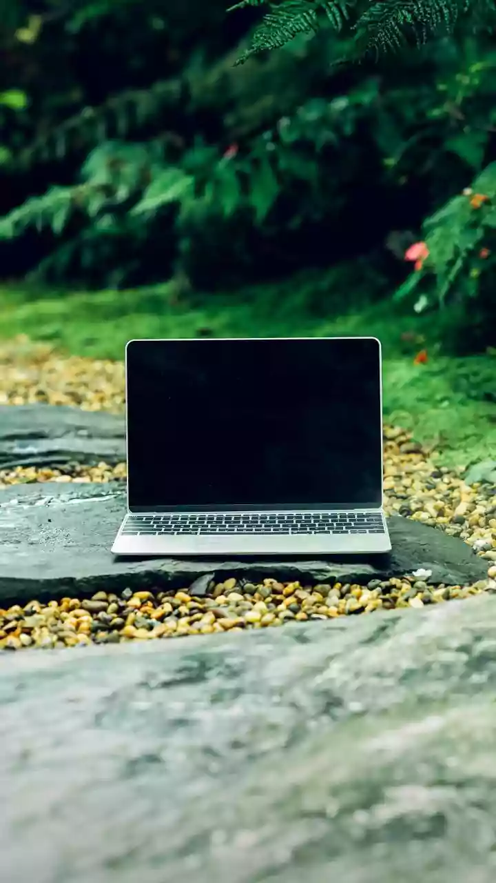Digital Detox Does Not Need A Retreat