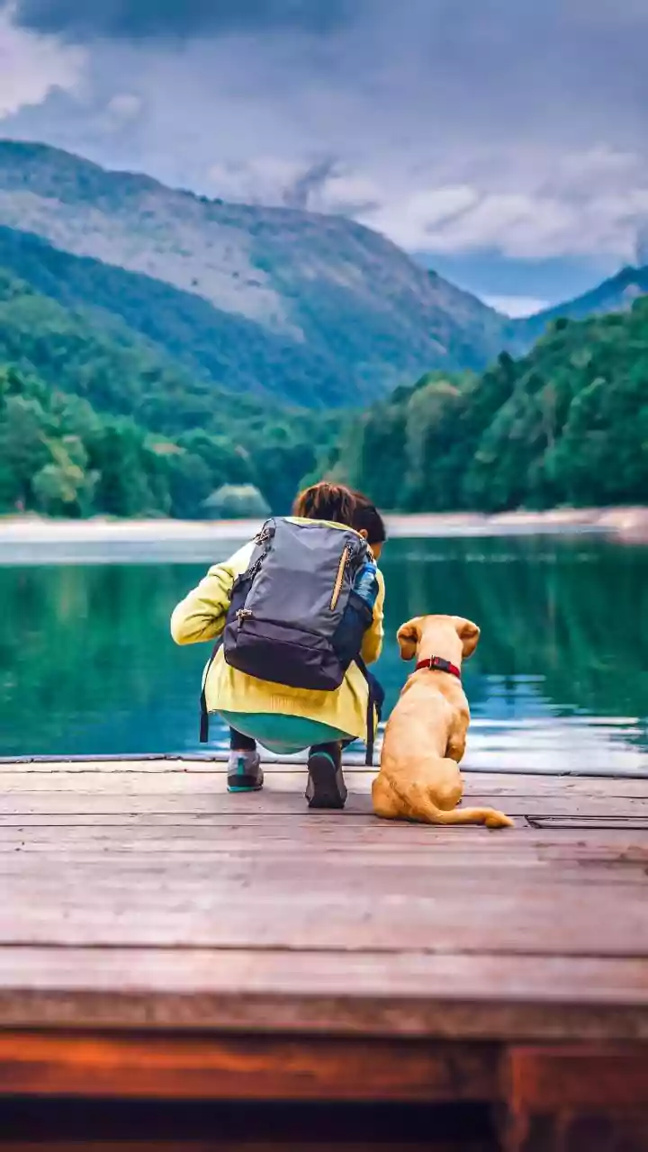 Pet Lovers Finally Have Better Weekend Options