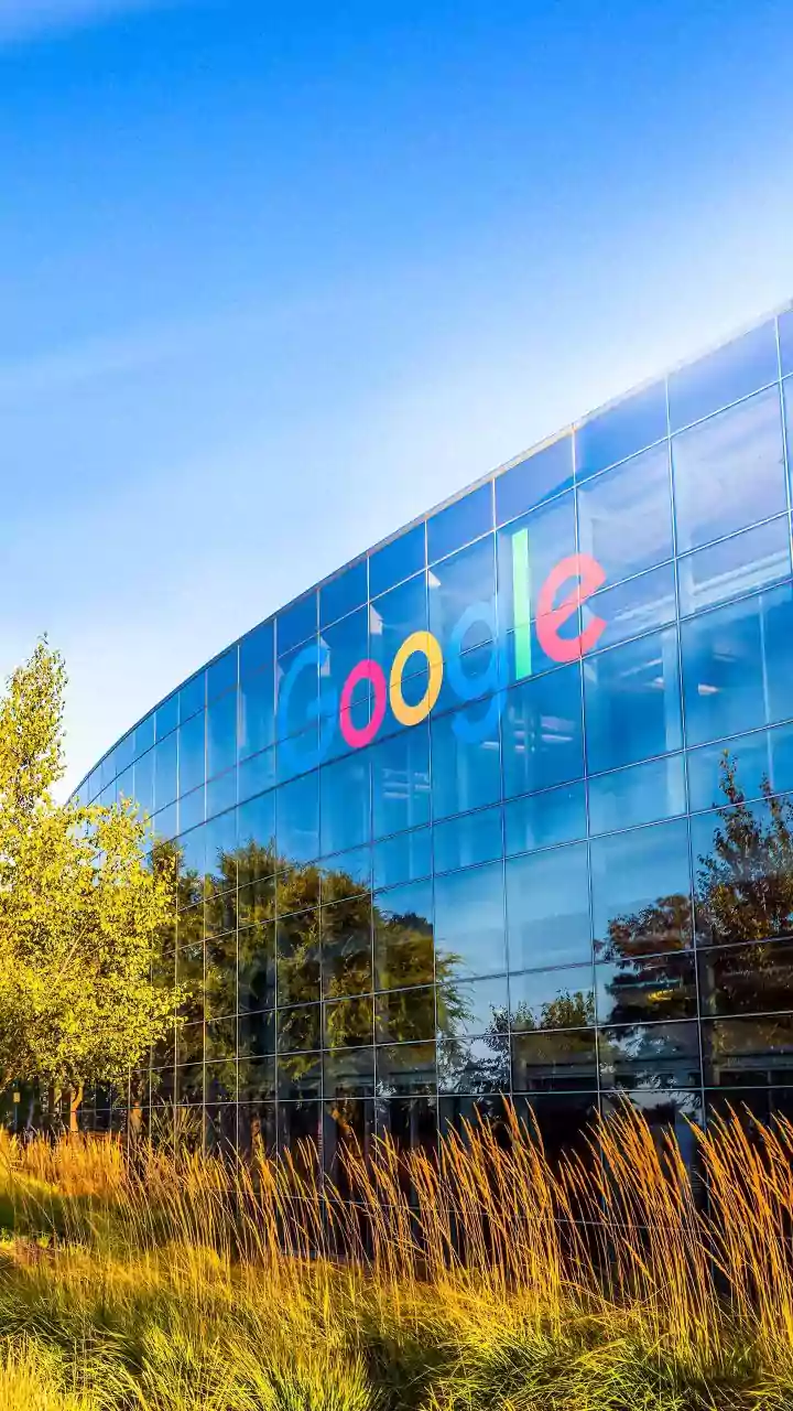 Google cleared 400,000 trees for Finnish data centers, checks unfinished