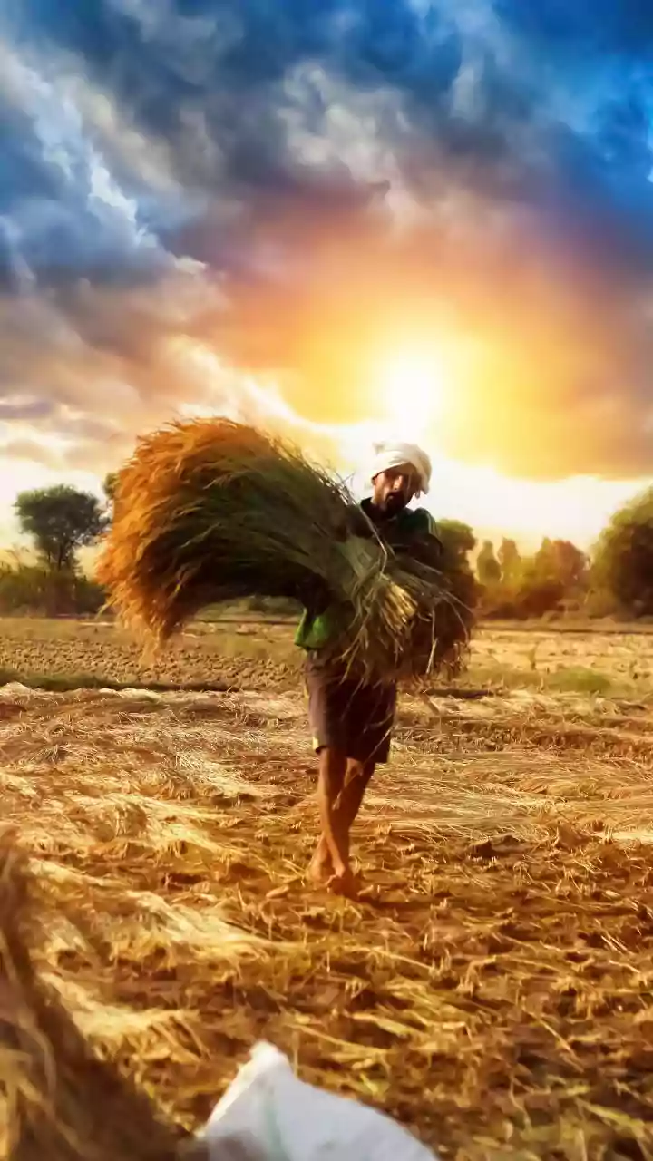 PM Kisan 22nd Installment Latest Update, Expected Date For PM Modi To Release The Next ₹2,000 To Farmers