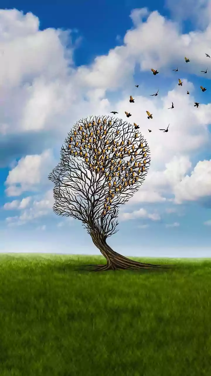 Navigating Challenges: A Focus on Well-being and Resilience