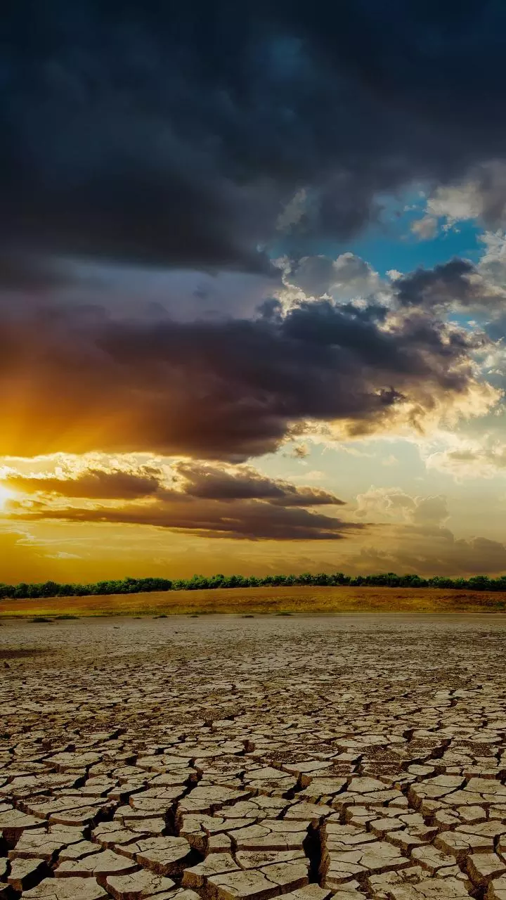 WMO says El Nino will dominate Aug-Oct 2026 climate patterns