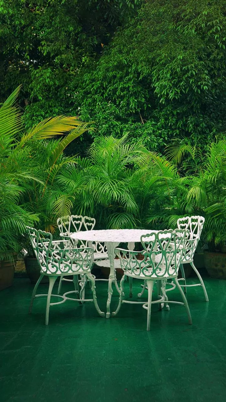 Host a Garden Tea Party without Overcomplicating the Details while Shading Guests Properly