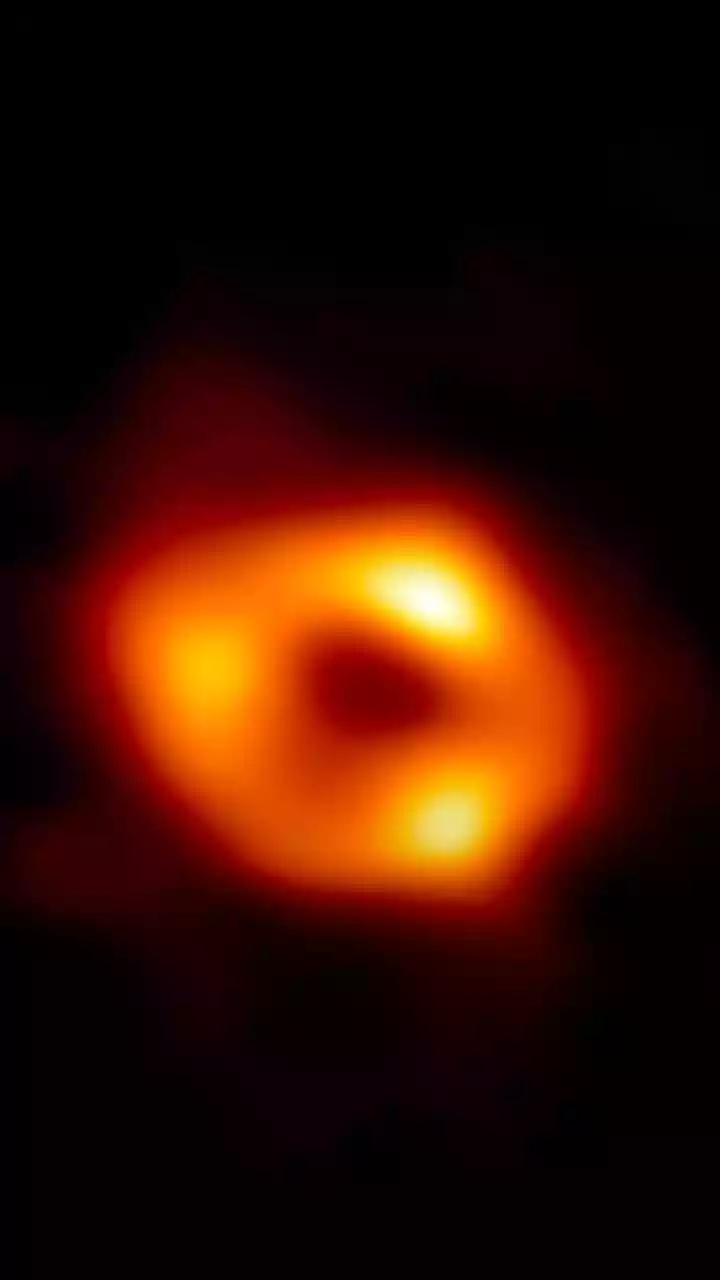 What Gravitational Wave Measurements Of Black Hole Collisions Reveal About Galaxy Seed Evolution