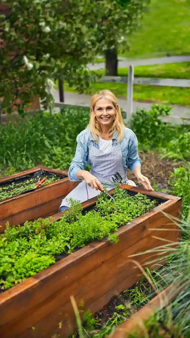 Your Terrace Veggie Patch Earns Tax Credits Across Major Cities
