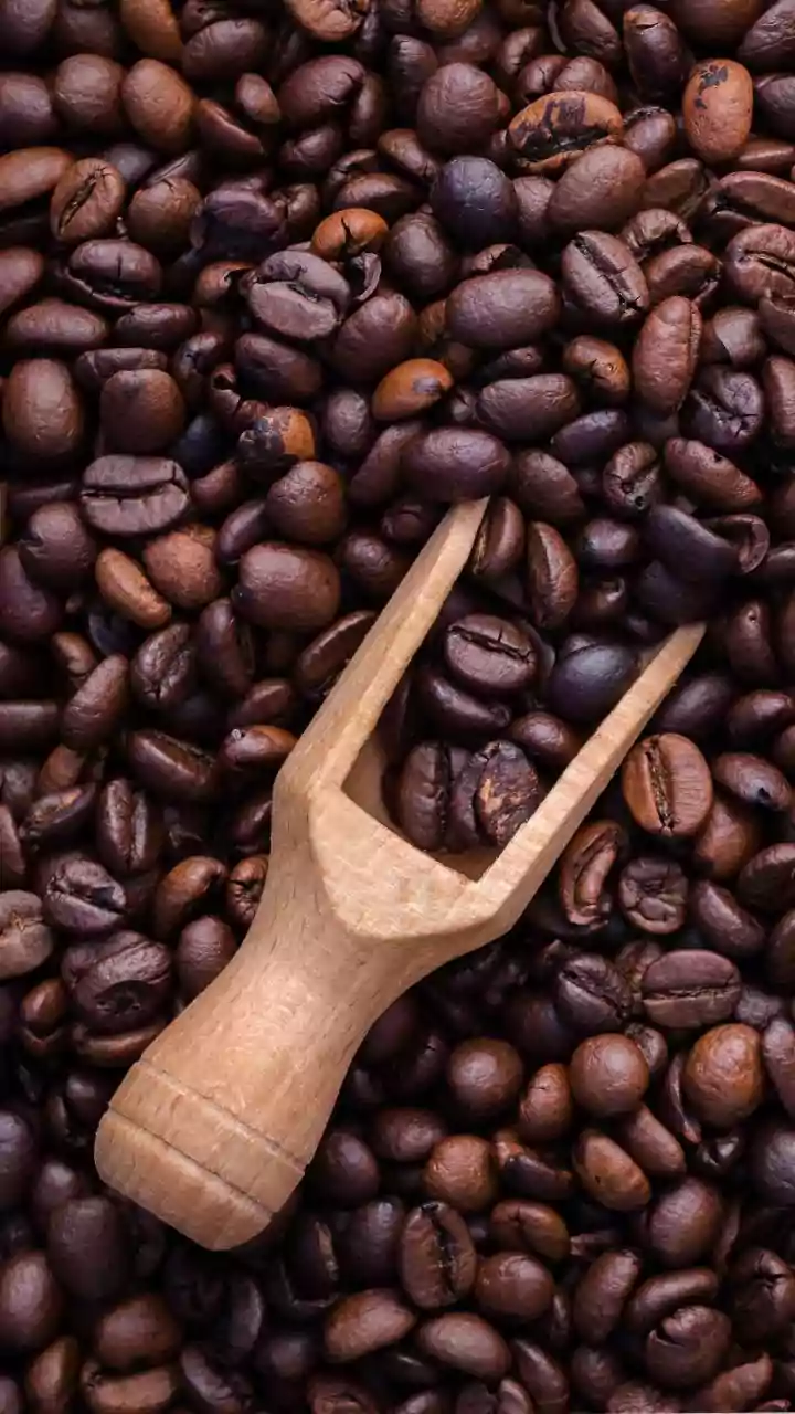 Why specialty single-origin Arabica roasts from Coorg are popular choices for cold brew coffee extractions