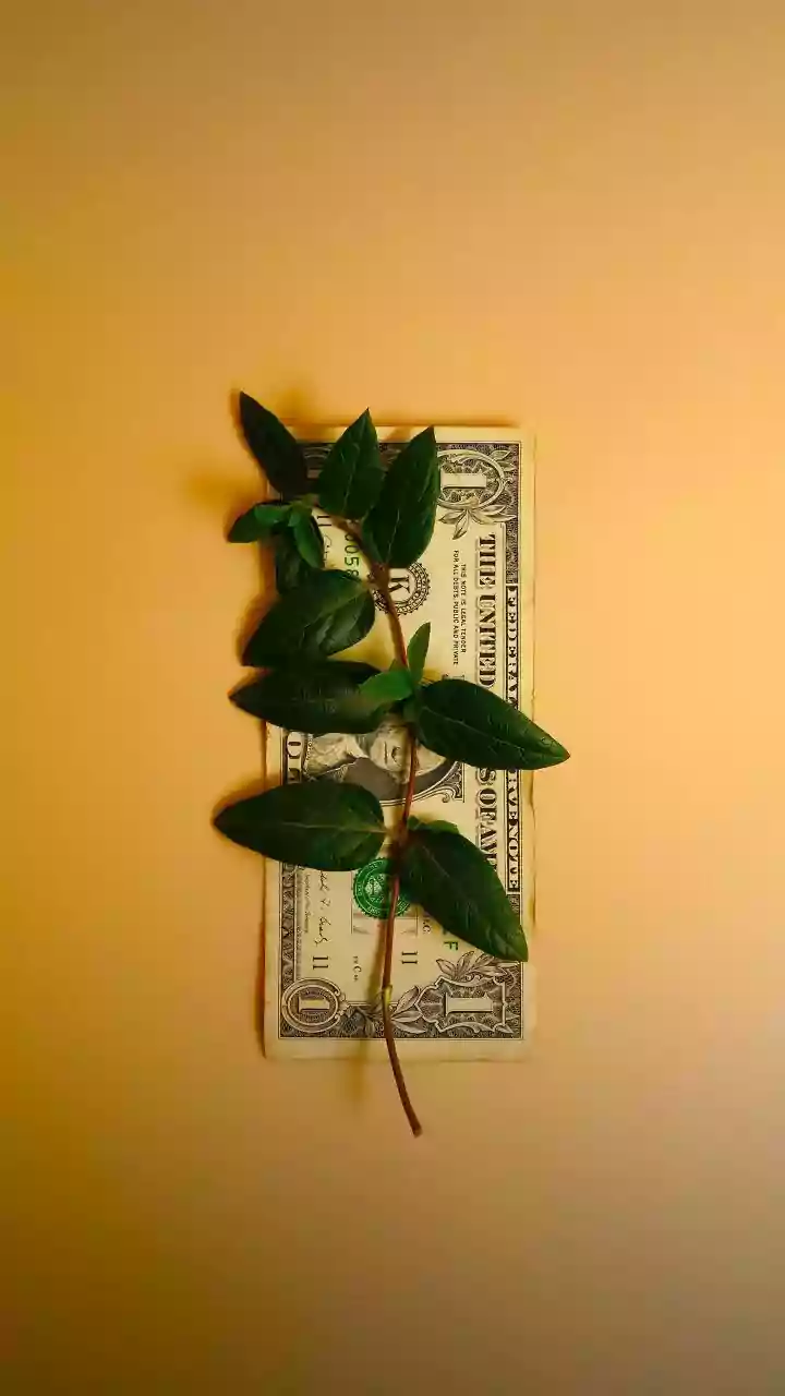 Rupee Breaches 91-Mark Against Dollar For First Time, Hits All-Time Low Amid Trade Deal Uncertainty