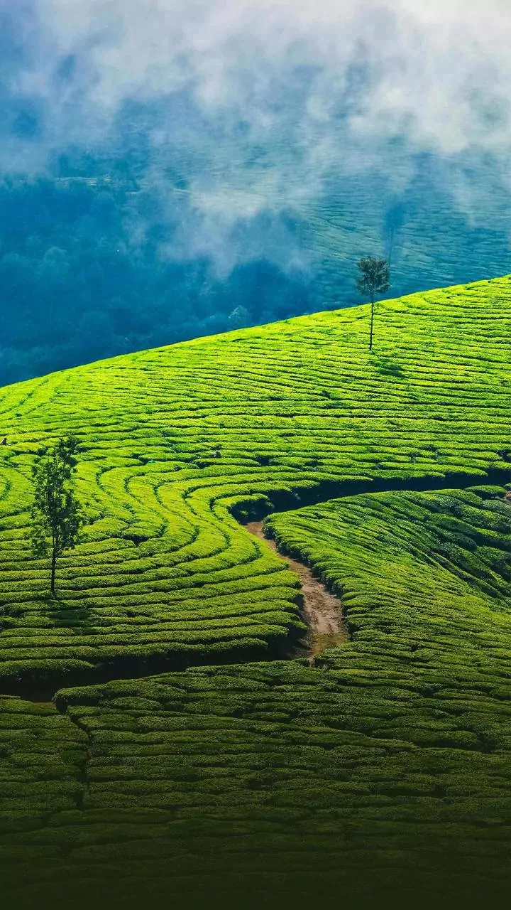 Kerala, Goa Or Ladakh? A Practical Monsoon Guide For Indian Holiday Planners
