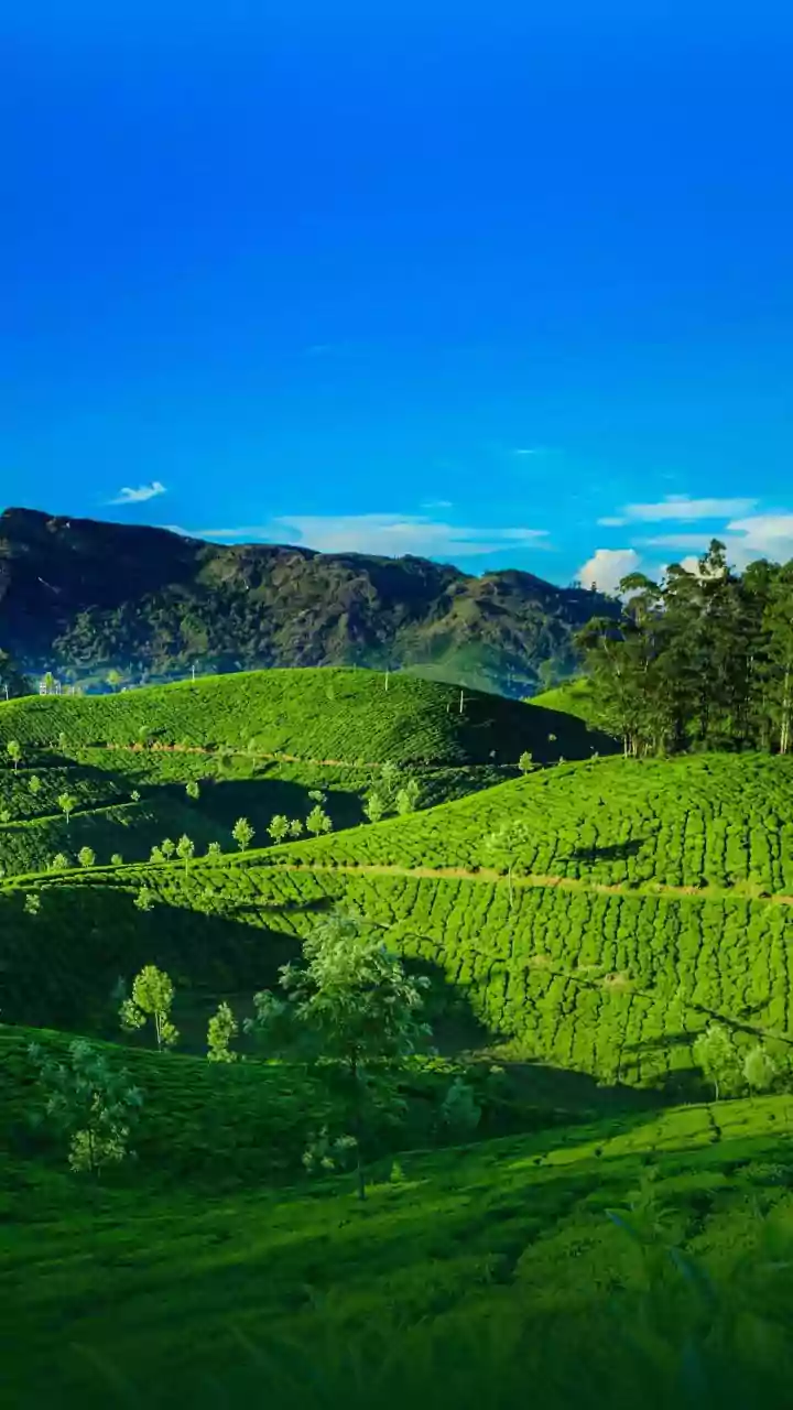 Kerala Tourism Vision 2031 Maps a Greener Road Ahead