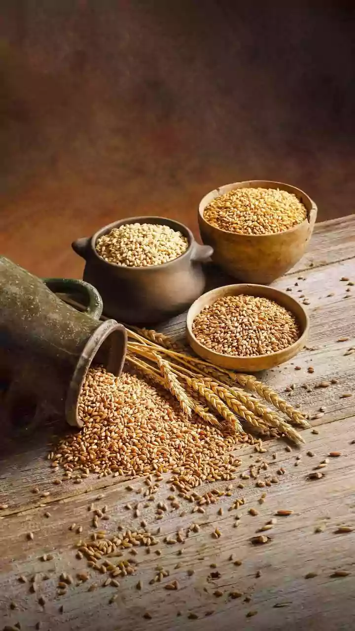Millets Make Sustainability Taste More Familiar