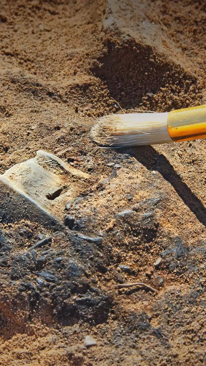 Arqueólogos encontraram correntes para pulsos e tornozelos em uma cidade celta, revelando pessoas que a história quase nunca menciona