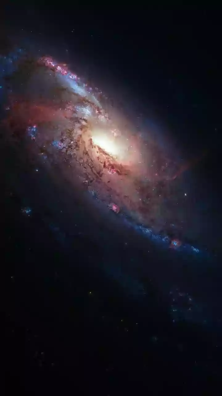 A 500-Million-Year Hubble Record Reveals Andromeda's Slow Wind-Down
