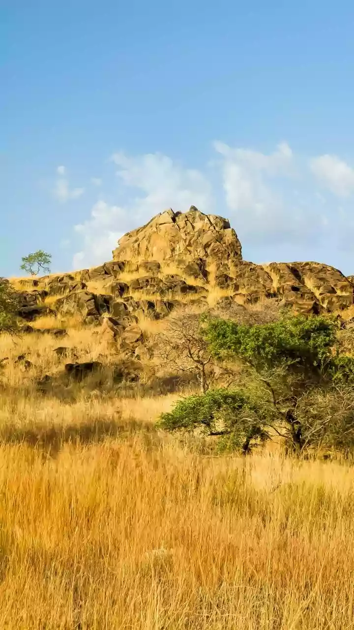Matobo National Park: Zimbabwe's Bouldering Haven for Thrill-Seekers and Nature Lovers