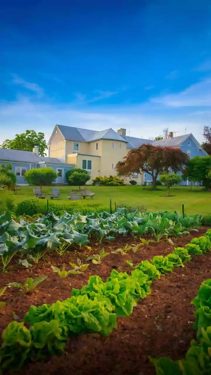 Beach Plum Farm: A Cape May Gem Offering Authentic Farm-to-Table Dining & More