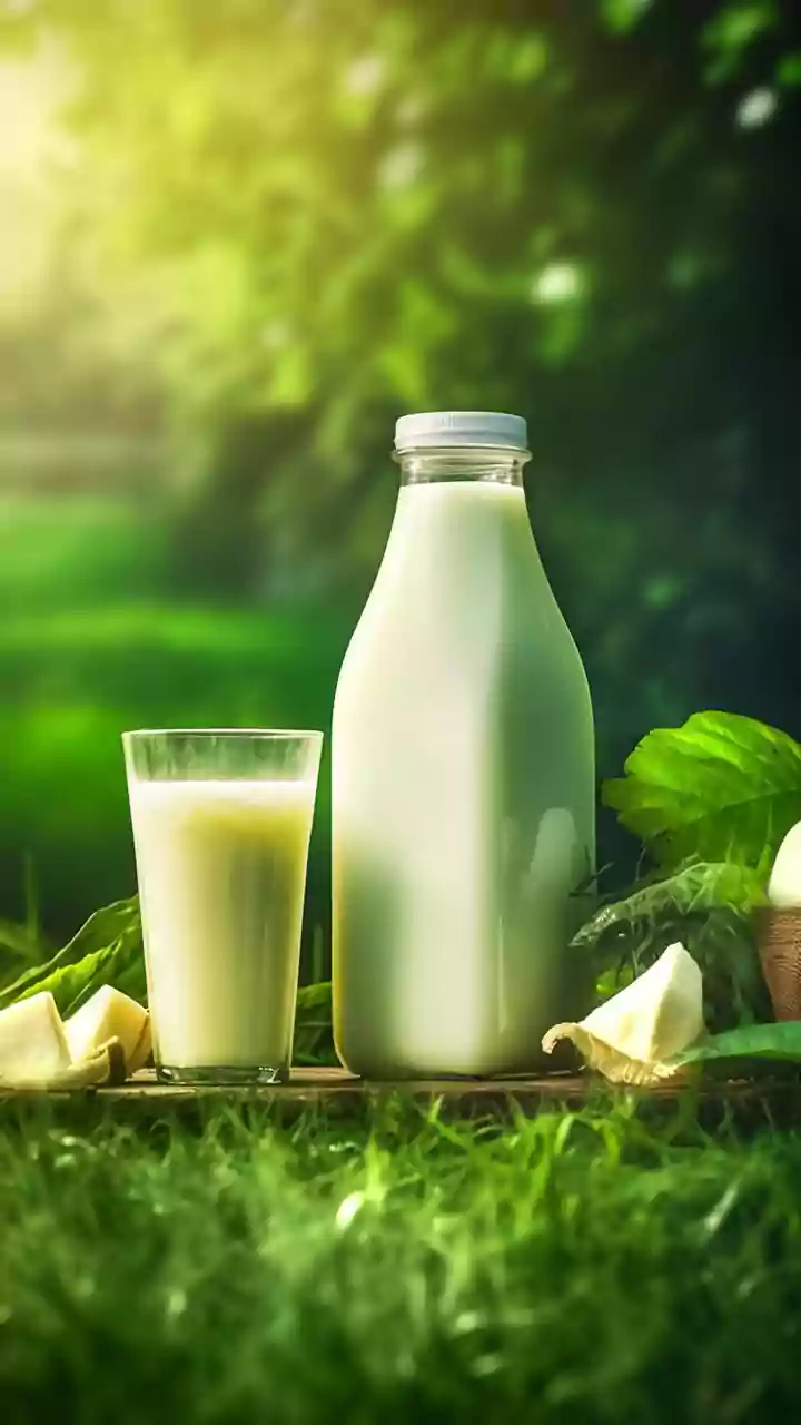 Putting Full-Fat Dairy Within a Balanced Eating Pattern in Context with the Latest Full-Fat Dairy Findings