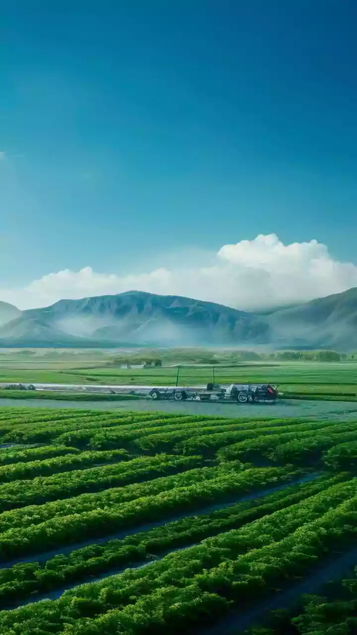 The Unseen Hands: Tracing the Journey of Your Food from Farm to Fork