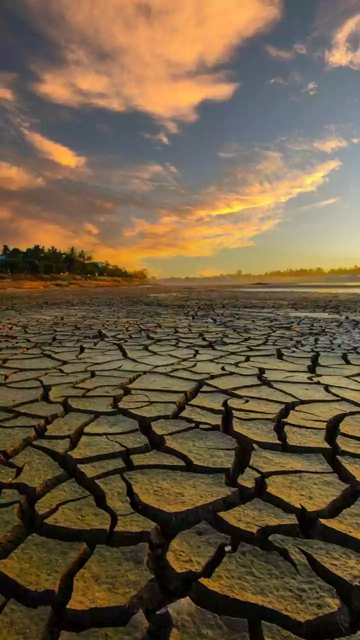 El Niño Threatens Odisha Agriculture Ahead of 2026 Monsoon