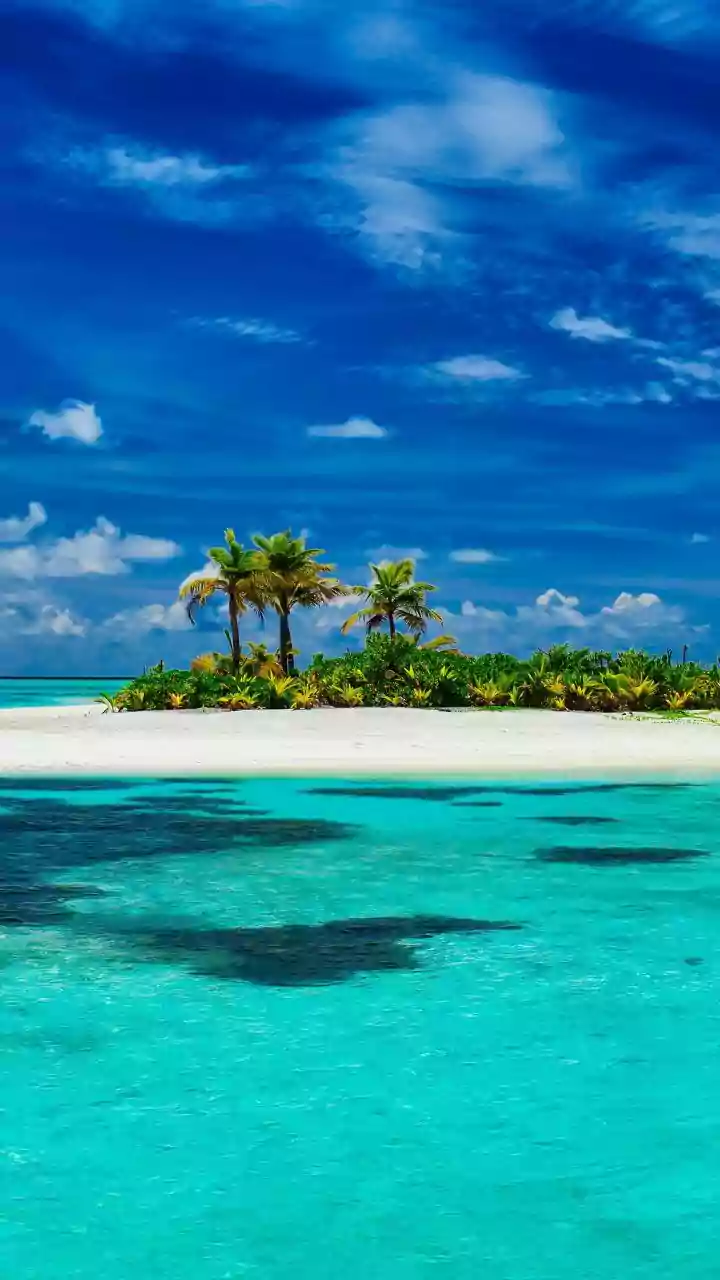 Essential Tips For Booking Permitted Island Stays And Coastal Tours In Unspoiled Lakshadweep
