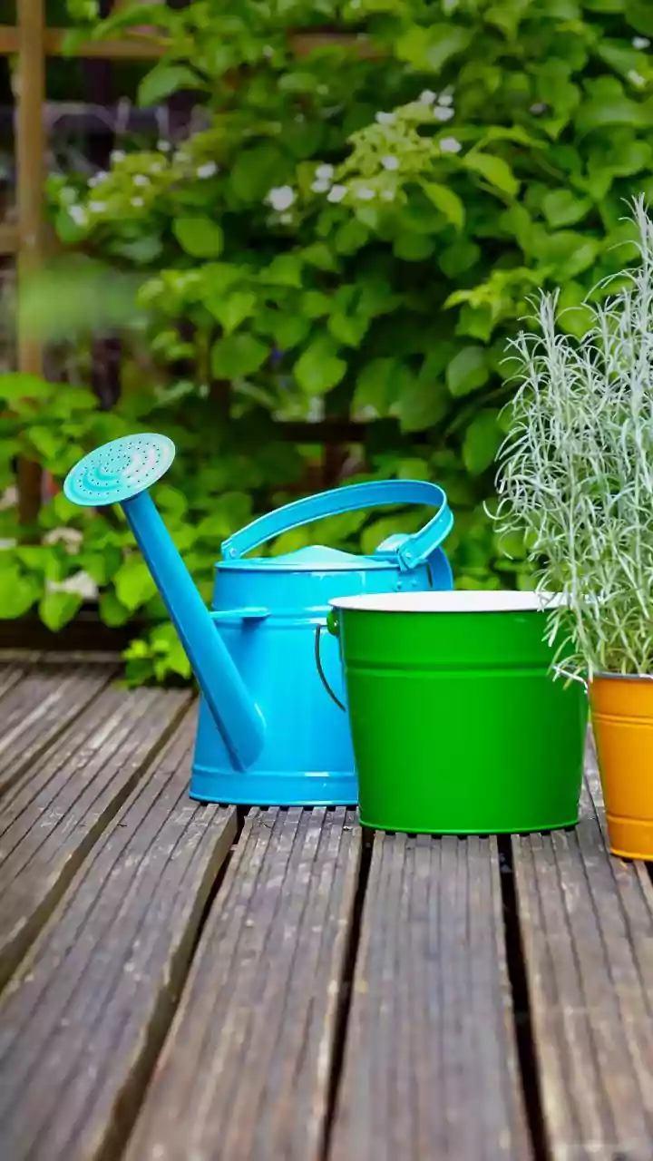 Humid Weather Calls For A Flexible Plant Watering Routine