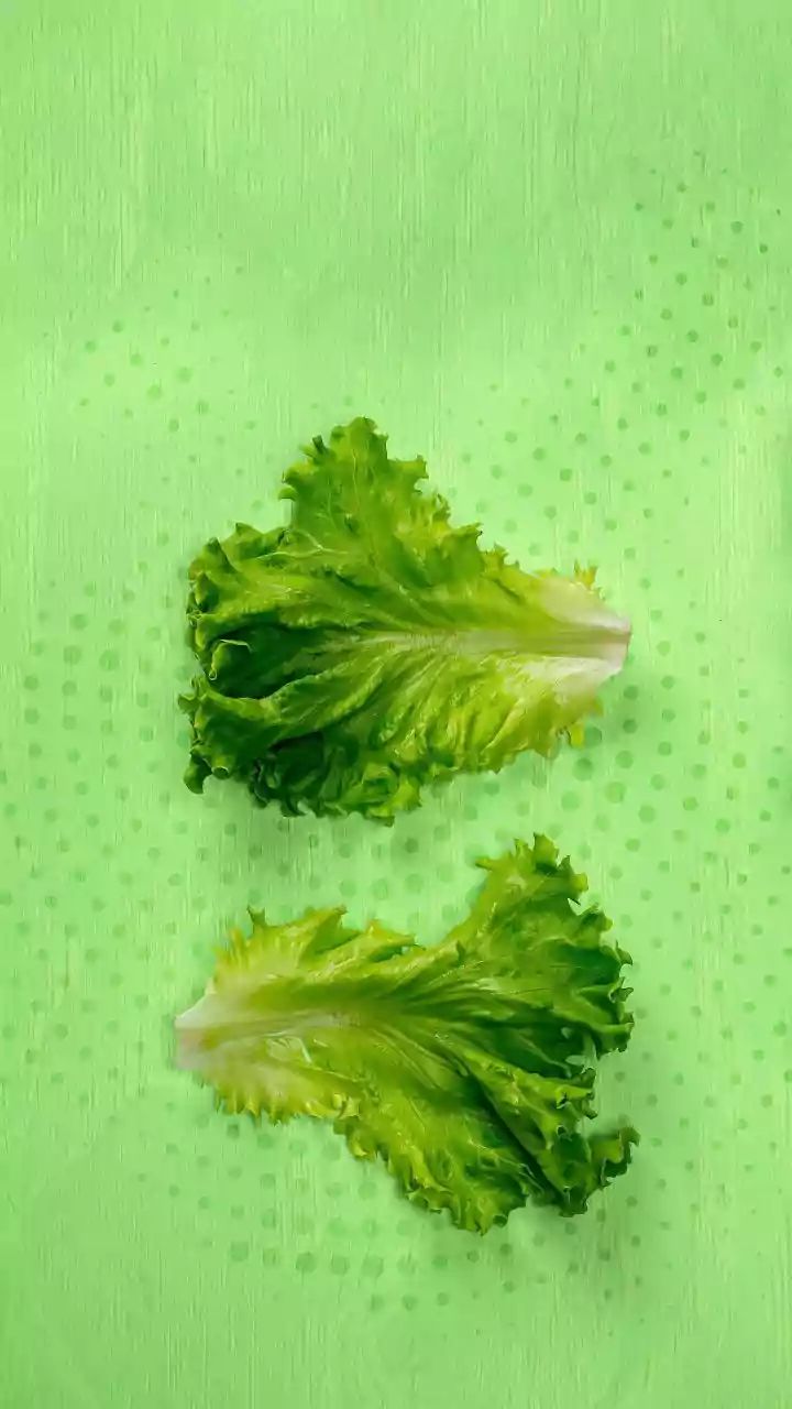 Green Revolution: Scientists Engineer Red Lettuce to Boost Nutrient Power