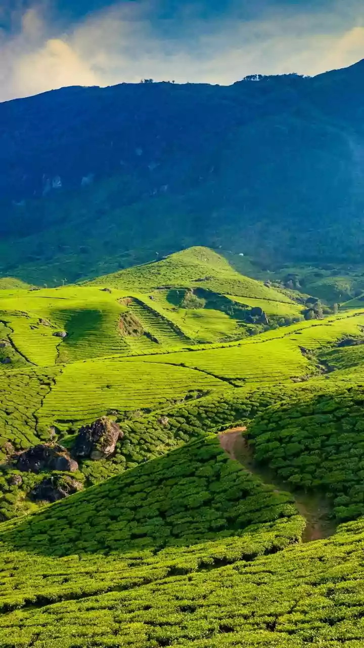 Agoda Names Munnar a Top Asian Rural Escape