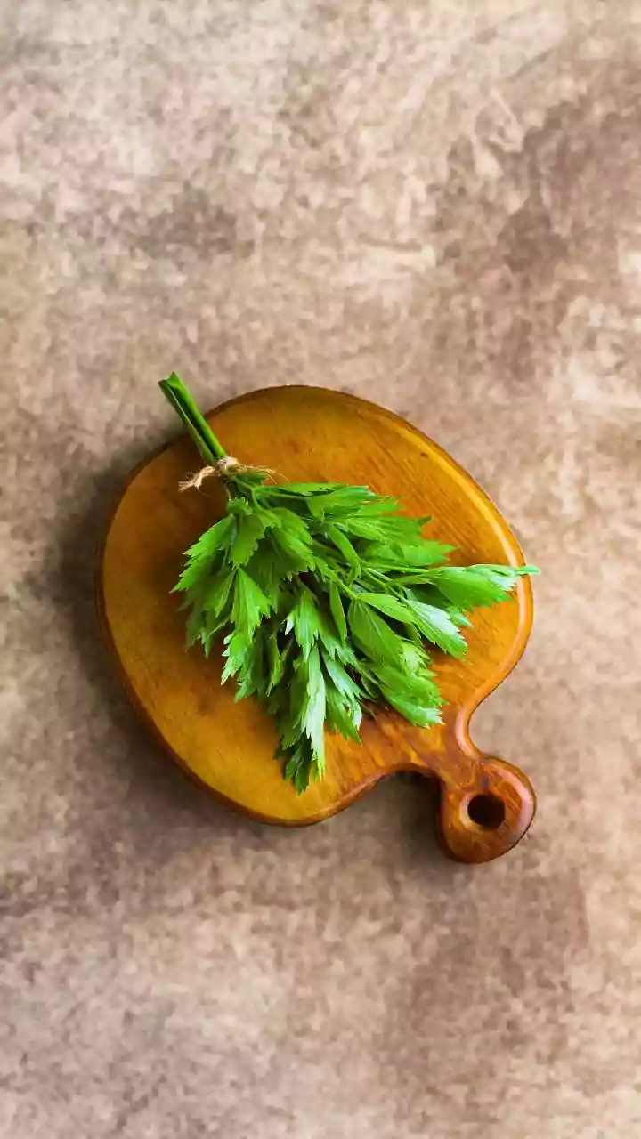 A Nutritionists Winter Playbook: Whole Organic Herbs for Real Protection