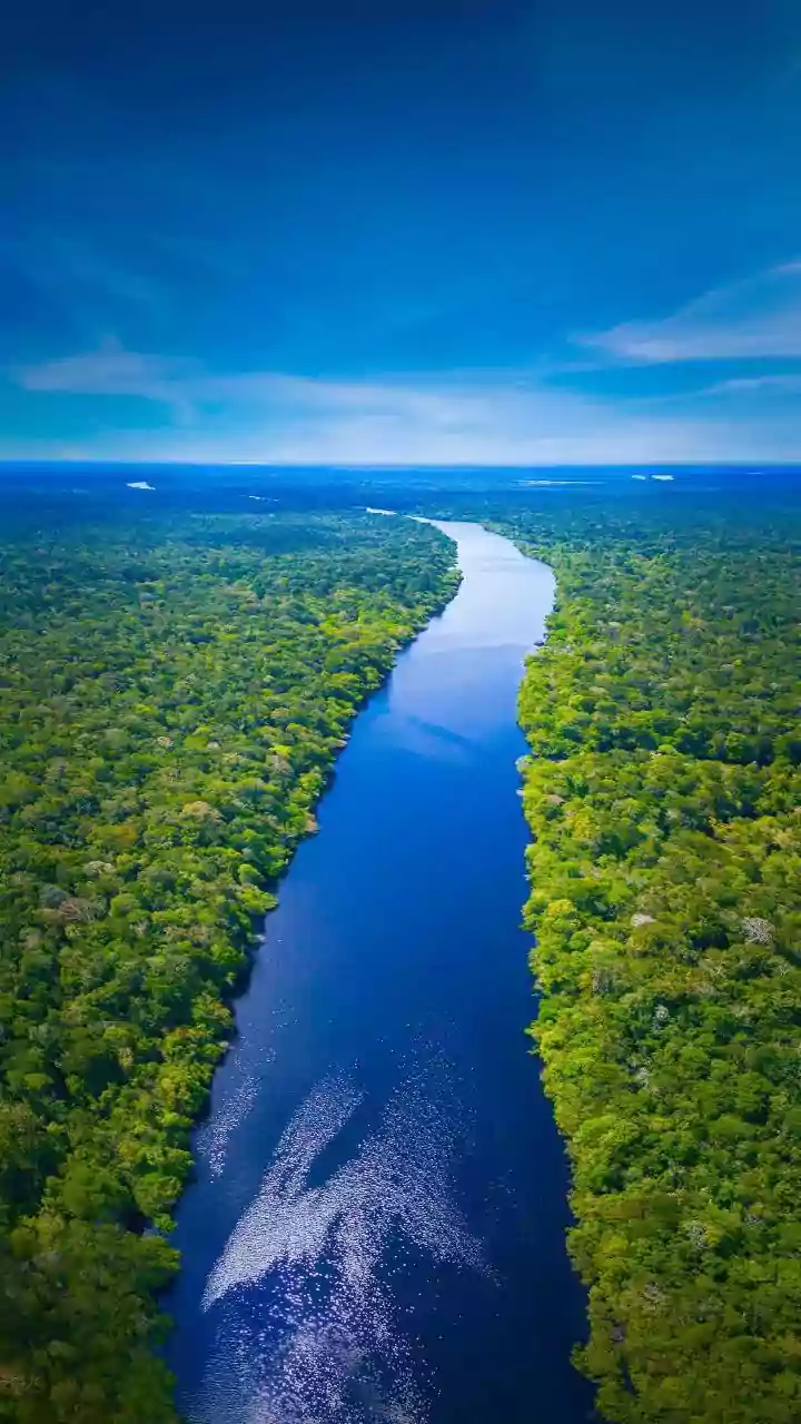 Mulher é resgatada do Rio Tamanduateí, na região central de SP