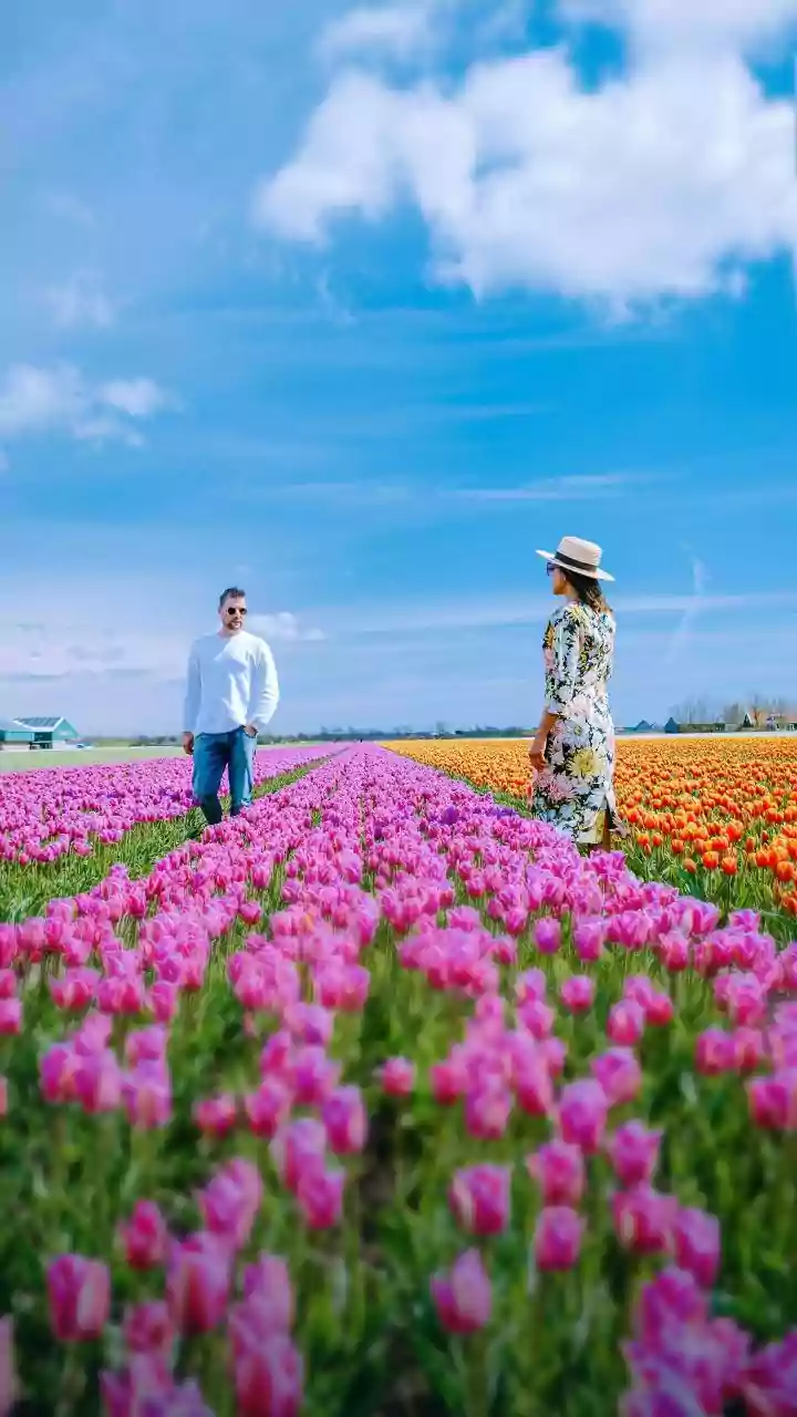 Bloom Trips Are The New Gentle Travel Flex