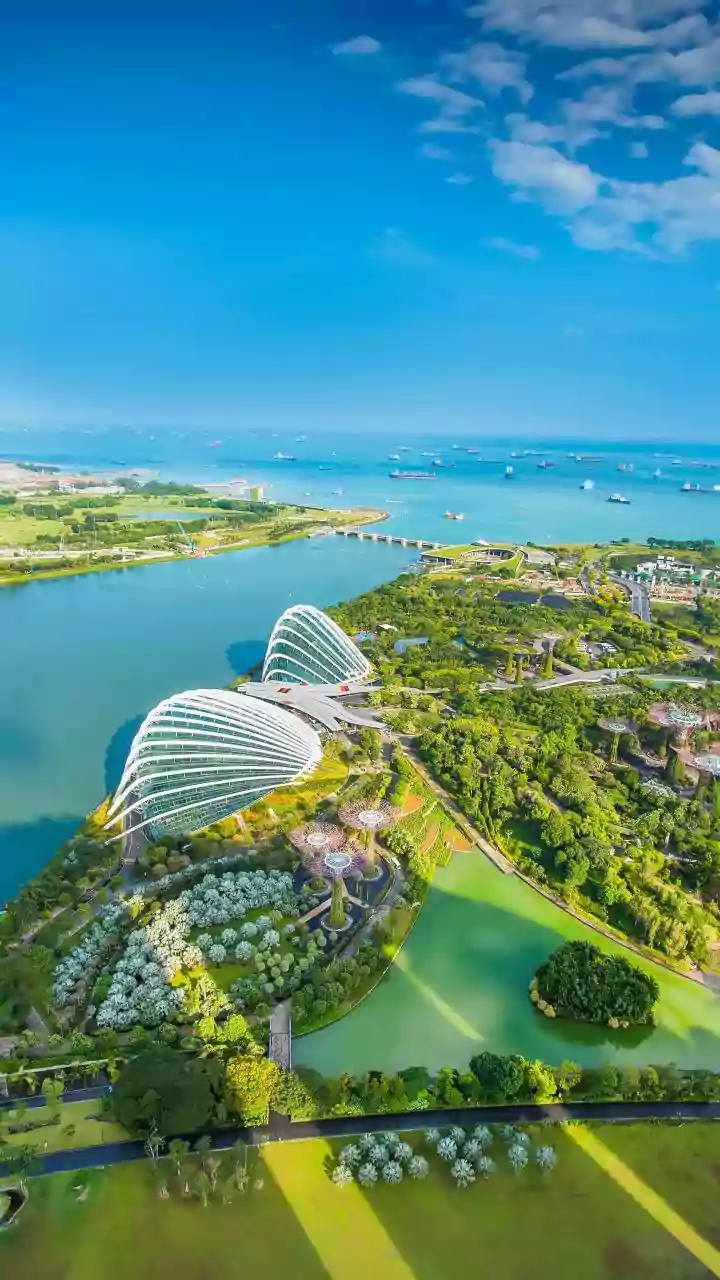 A 90-Hectare Jurong Oasis Brings Lakeside, Chinese and Japanese Gardens Together
