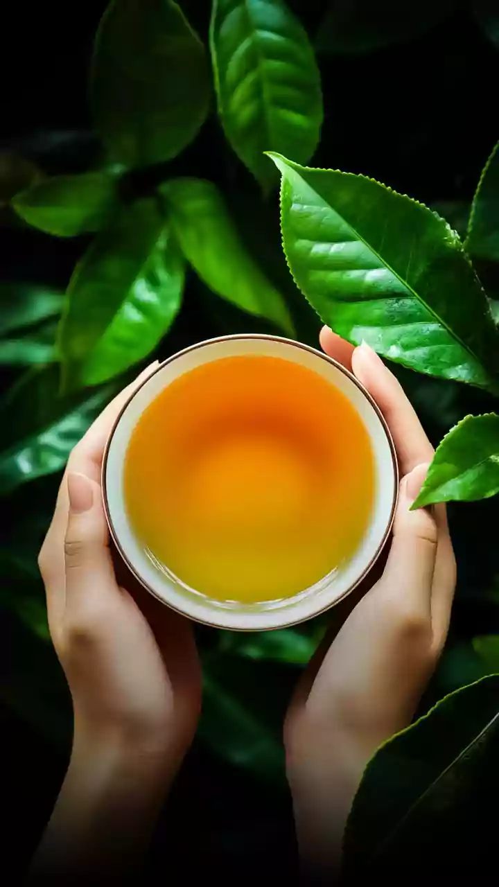 FSSAI says only real tea can be called "tea" now