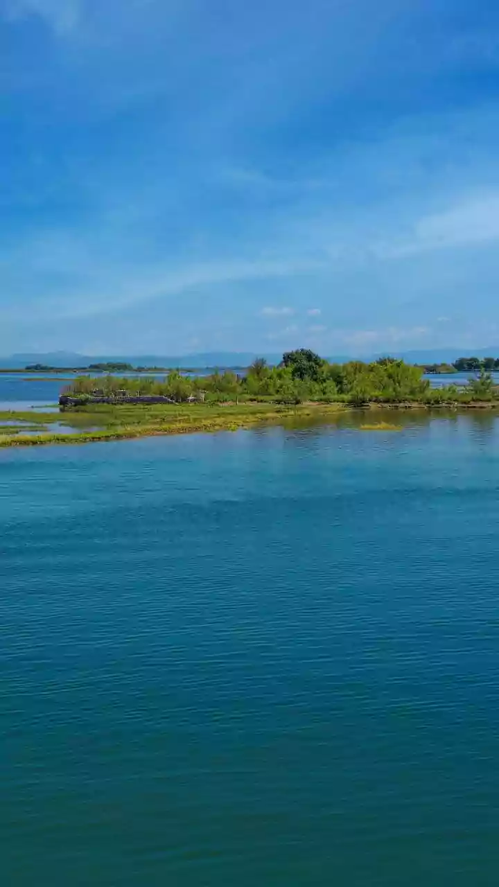 India's Avian Havens: 10 Lakes Teeming with Migratory Birds