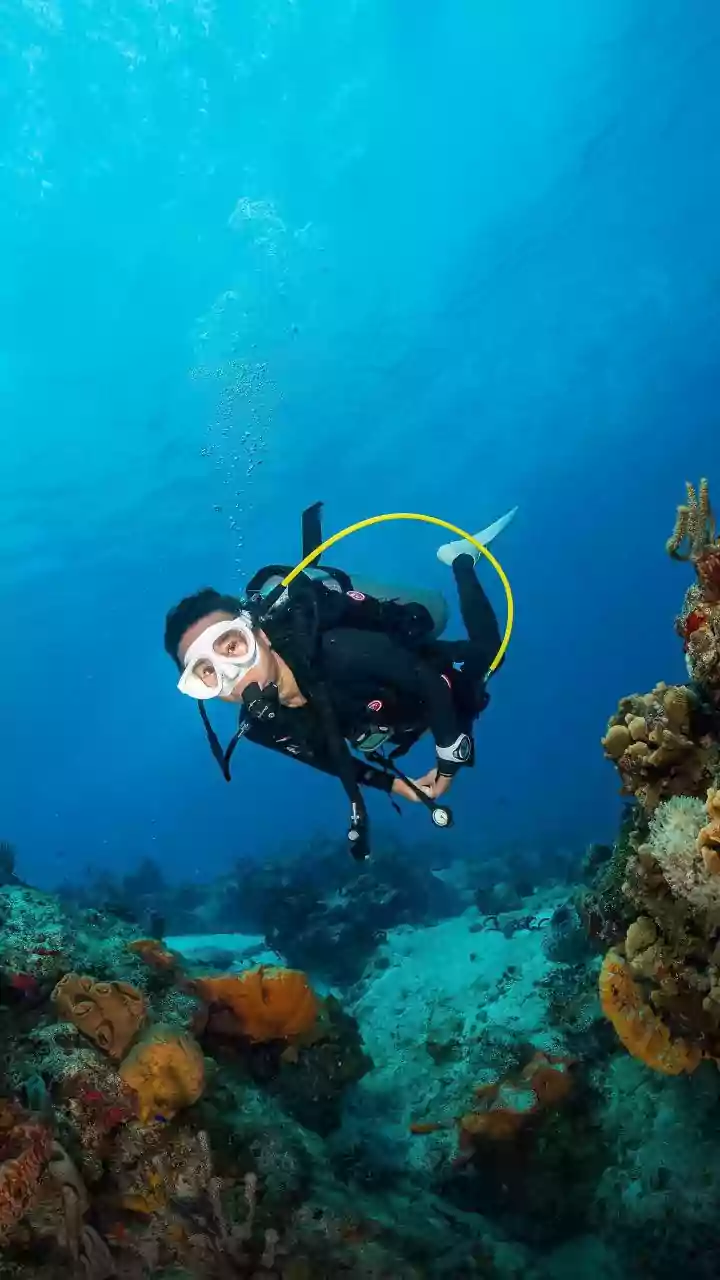 How Researchers Identify Heat Tolerant Corals To Protect Marine Biodiversity From Ocean Warming