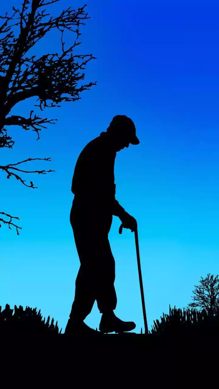 Longevity Research: Why Extended Lifespans May Feel Like a Biological Lottery