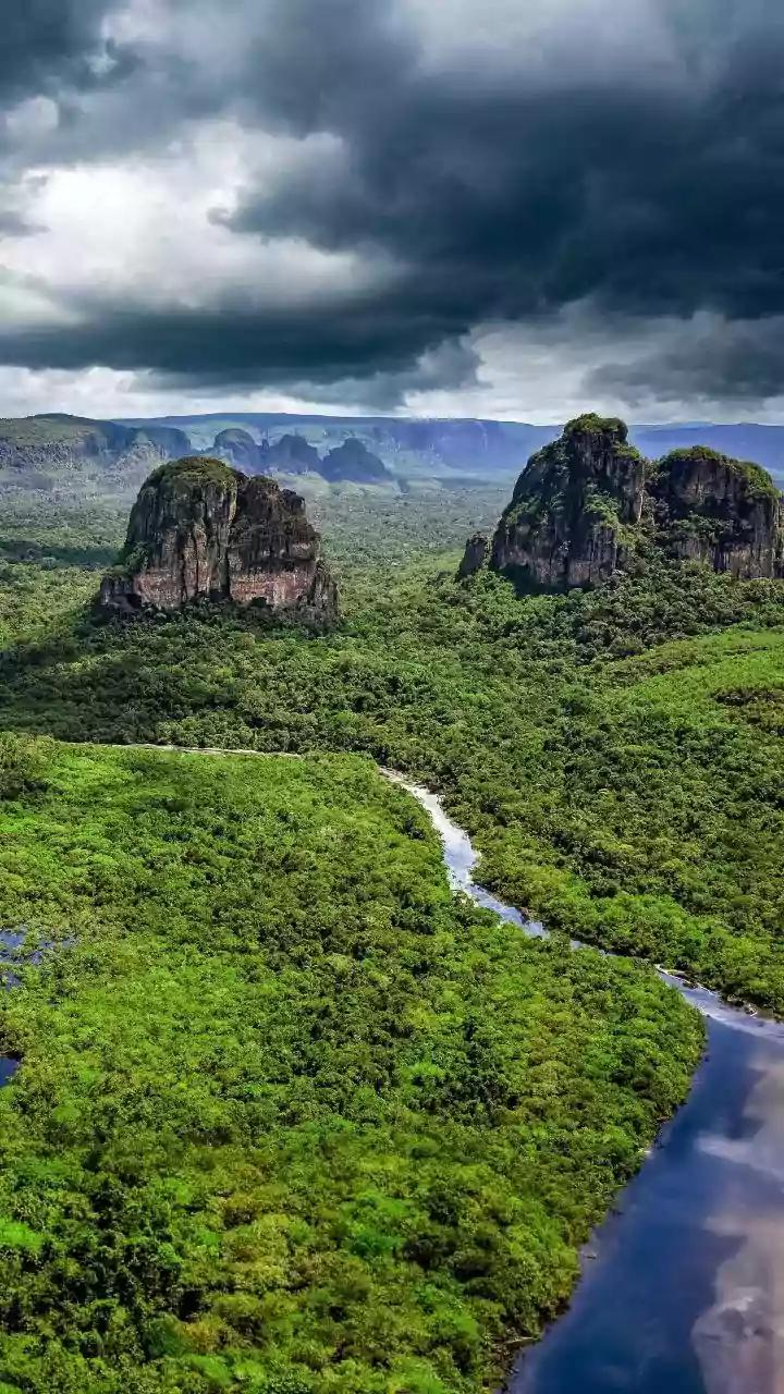 What Evolving Rainfall Trends Could Mean For The Future Of India's Forests