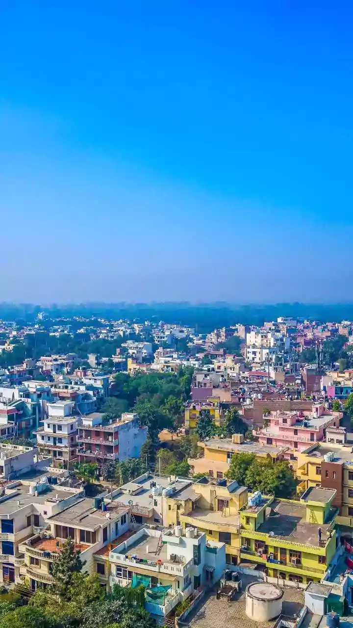 India's White-Collar Job Market: A Strong 2025 Close