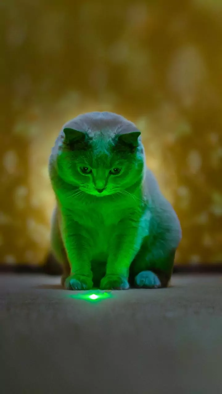 Por que gatos derrubam objetos de propósito?